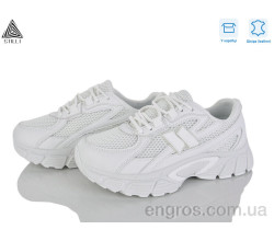 Кроссовки STILLI Group